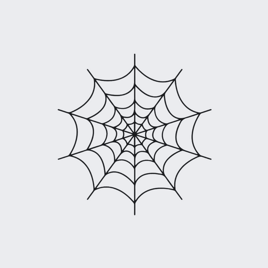 Spider Web