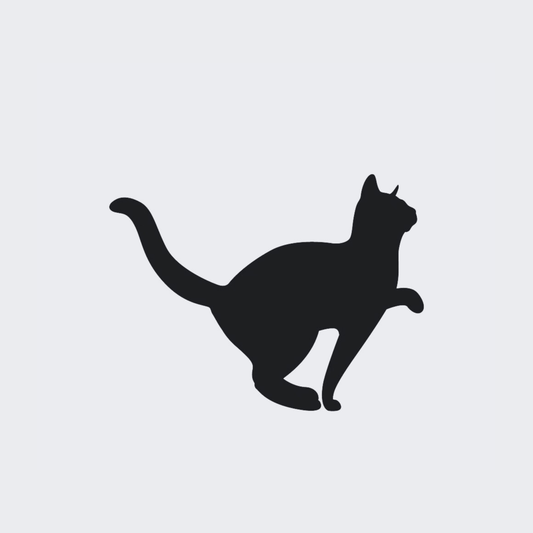 Black Cat