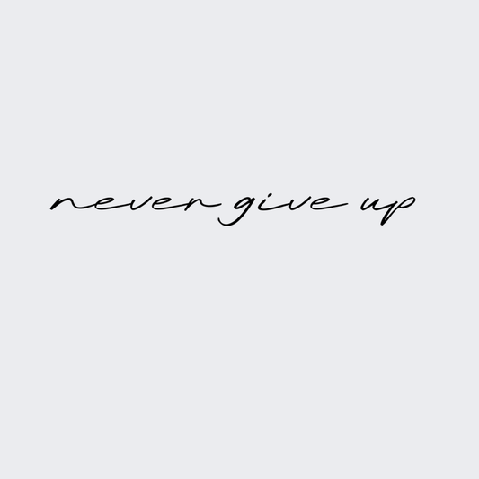 Never Give Up
