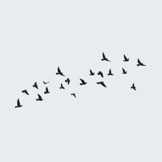 Flight In Sync