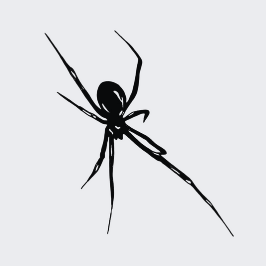 Spider Attack