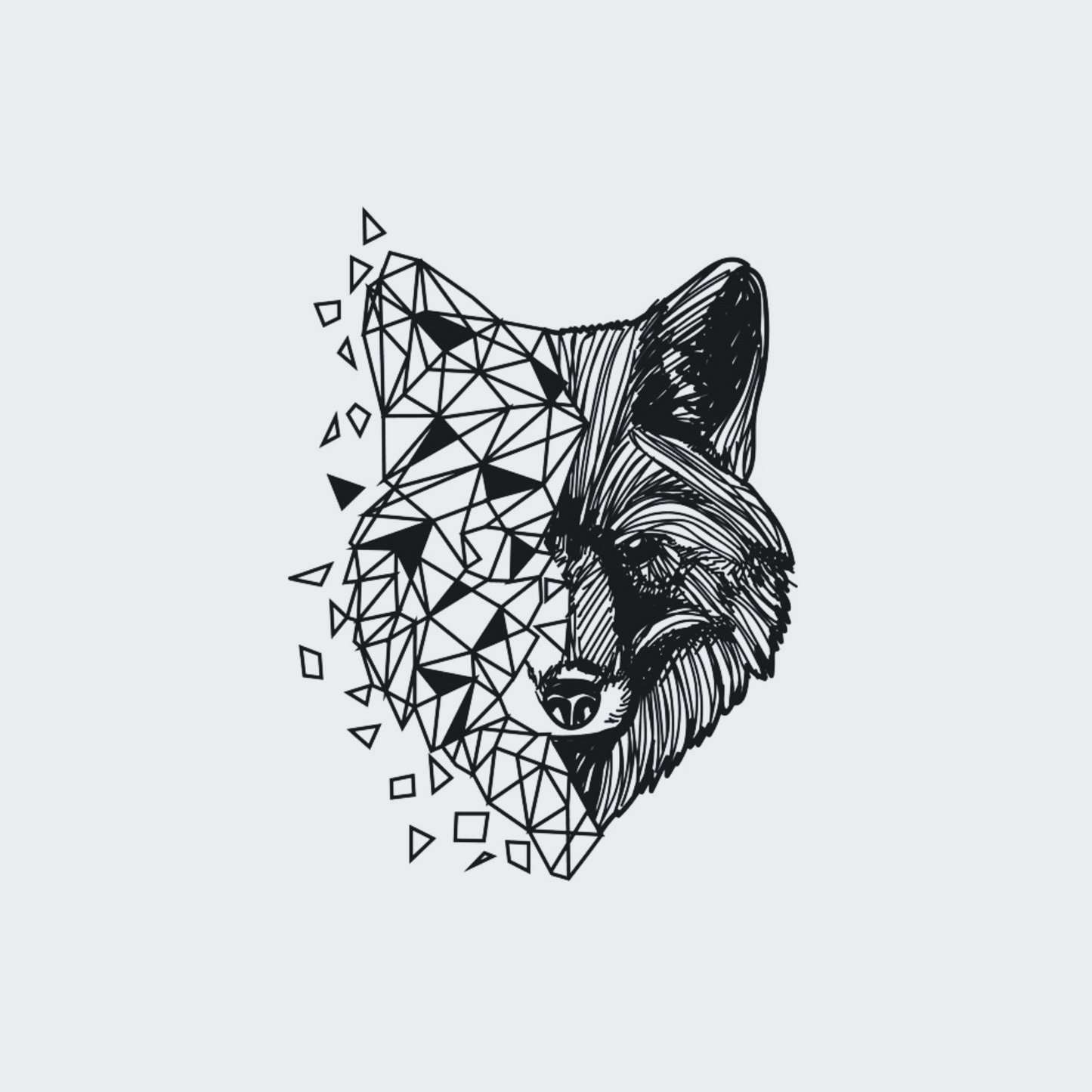 Geometric Fox