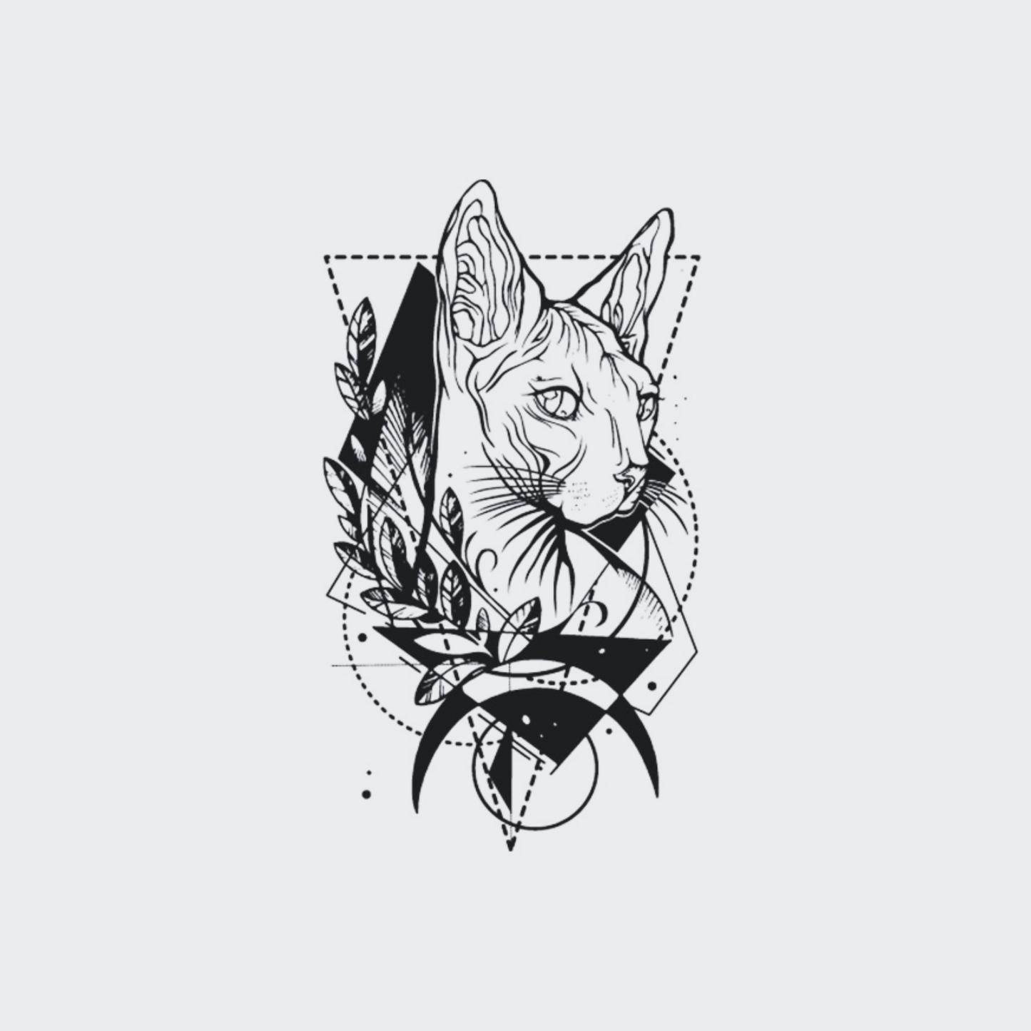 Oriental Cat