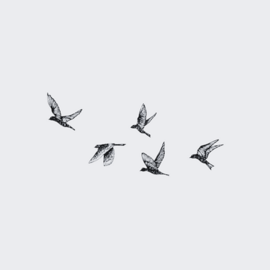 Herd Of birds