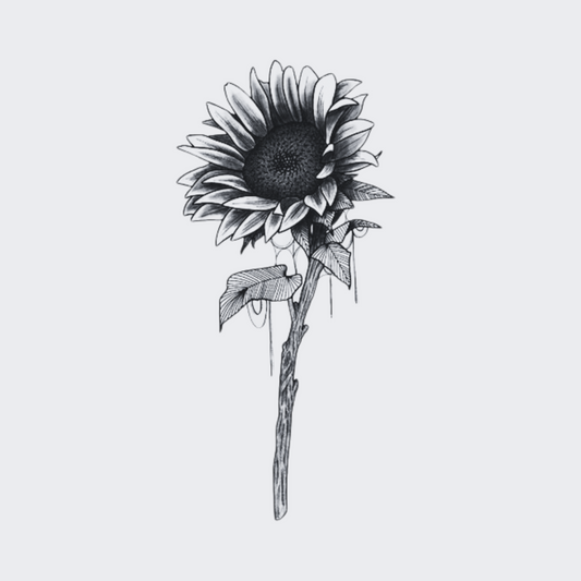 Sunflower Stem