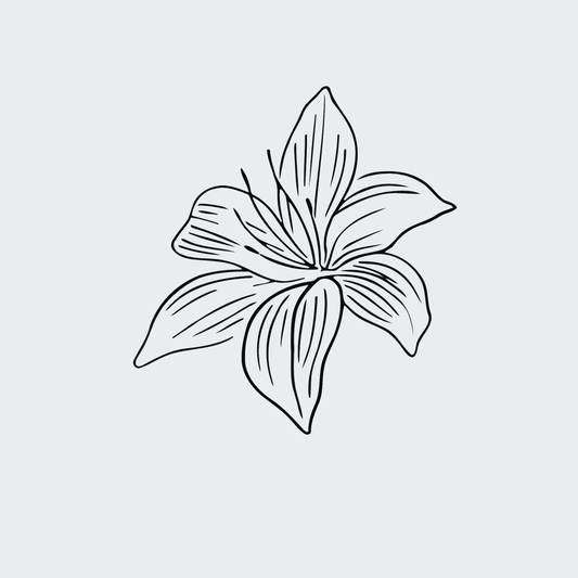 Lily's Blossom