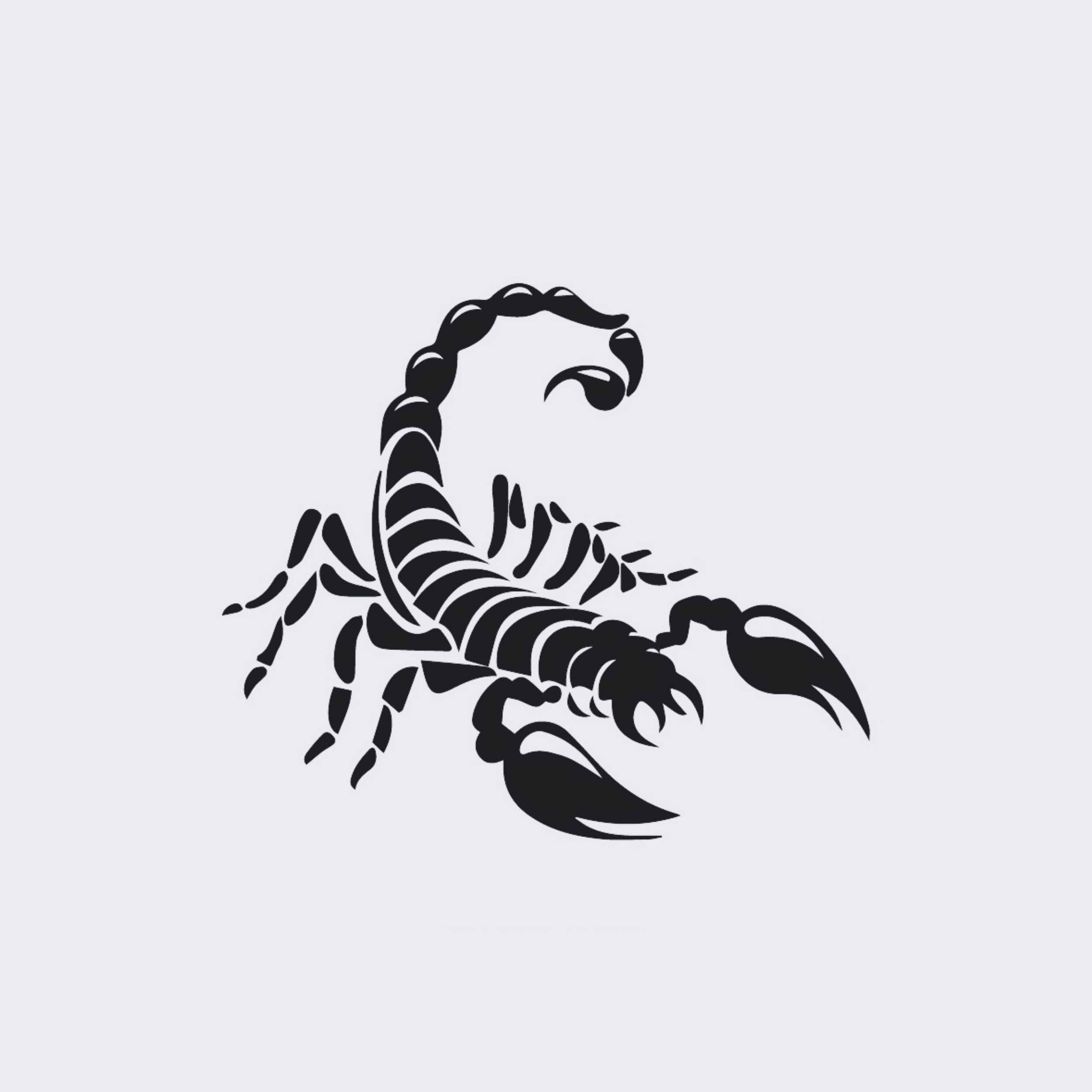 Scorpion – ThePrimeInk